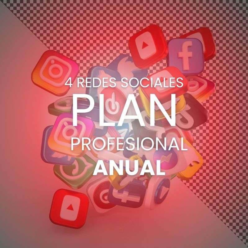 Plan Profesional Anual